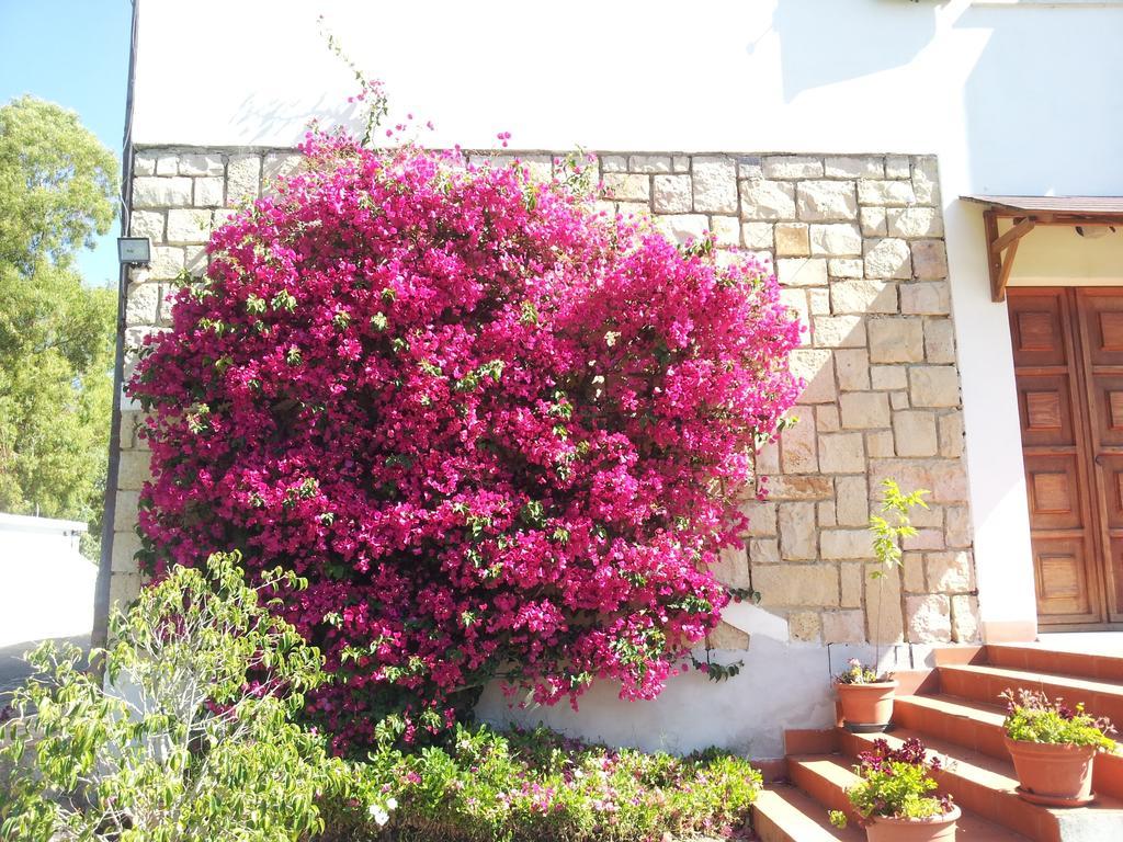 Al Sole Di Pula Bed & Breakfast Dış mekan fotoğraf